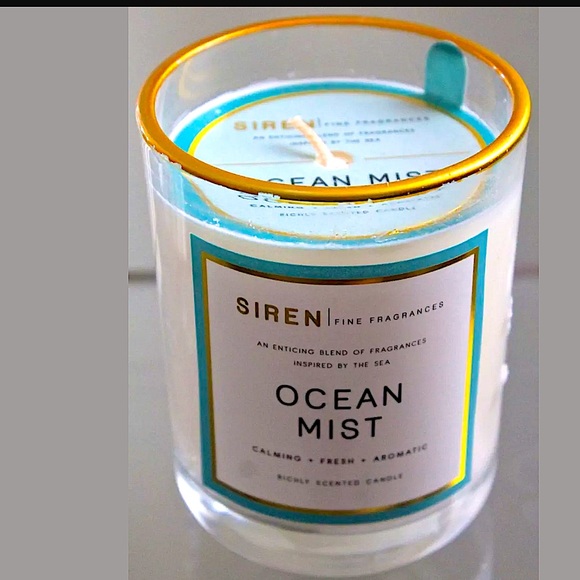 DW HOME CANDLE OCEAN MIST RICHLY SCENTED NEW 1 WICK - Picture 1 of 2